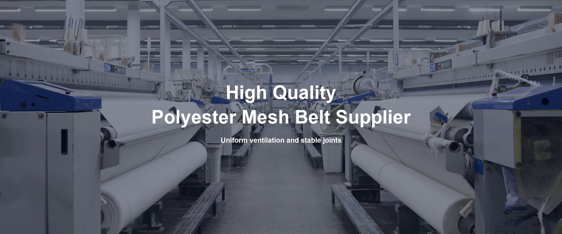 High Quality Polyester Mesh Belt Supplier